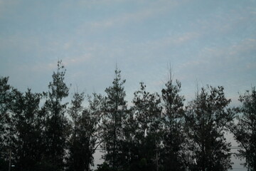 clouds in the sky