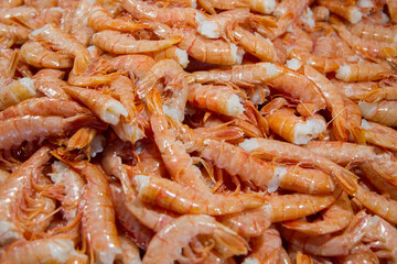 Gamberetti , banco del pesce , mercato del pesce