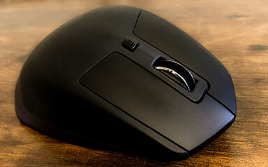 Mouse