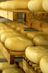 Fabricacion de queso artesano.Es Tudons. Ciutadella.Menorca.Islas Baleares.Espa&ntilde;a.