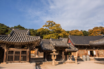 The beautiful and colorful autumn landscape of temple background autumn colored mountain and blue sky.