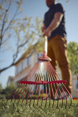 Unrecognizable young male in casual outfit is raking green grass using handheld red rake on a lawn...