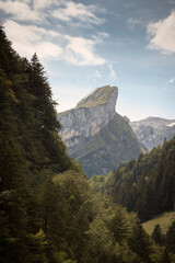 Mountains at Seealpsee