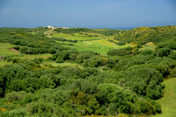 Fototapeta na wymiar Parc natural de s' Albufera des Grau.Menorca.Reserva de la Bioesfera.Illes Balears.España.