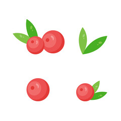 This is a cranberry. Berry on white background.