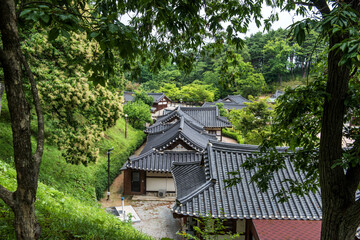 The beautiful traditional house, garden  and forest  at summer.