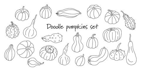 Doodle set with different varieties of pumpkins and squashes on white. Hand drawn vector illustration in black ink isolated outline. Great for coloring books. Farming and gardening theme.