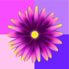 Obraz premium pink flower on white background