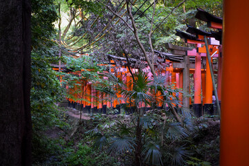 Fushimi Inari, Kyoto