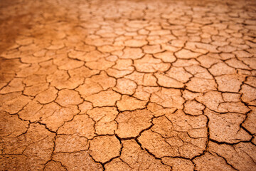 Ses salines.Mongofre Nou.Menorca.Islas Baleares. España.