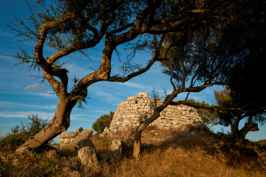 Talaiot central.Poblado talaiótico de Talatí de Dalt, 1000 - 2000 b.C. Maó. (2011) Menorca.Islas Baleares. España.