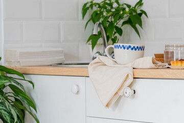 Obraz na płótnie Canvas white kitchen interior. Scandinavian interior design in light colors with plants and accessories.