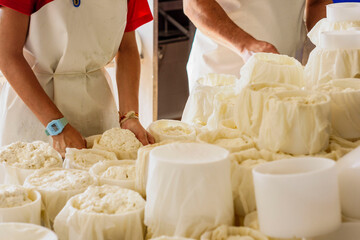 fabricacion artesanall de queso Binibeca de cabra,  finca Alcaiduset, Alaior, Menorca, Islas...