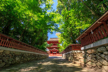 薦神社（大貞八幡薦神社）大分県中津市　Komo Shrine Ooita-ken Nakatsu city