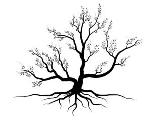 Fototapeta premium Black Branch Tree or Naked trees silhouettes. Hand drawn isolated illustrations.