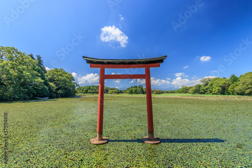 薦神社 大貞八幡薦神社 大分県中津市 Komo Shrine Ooita Ken Nakatsu City Wall Mural M H 薦神社 大貞八幡薦神社 大分県中津市 Komo Shrine Ooita Ken Nakatsu City Wall Mural M H