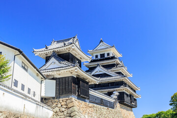 Fototapeta na wymiar 中津城　大分県中津市　Nakatsu Castle Ooita-ken Nakatsu city