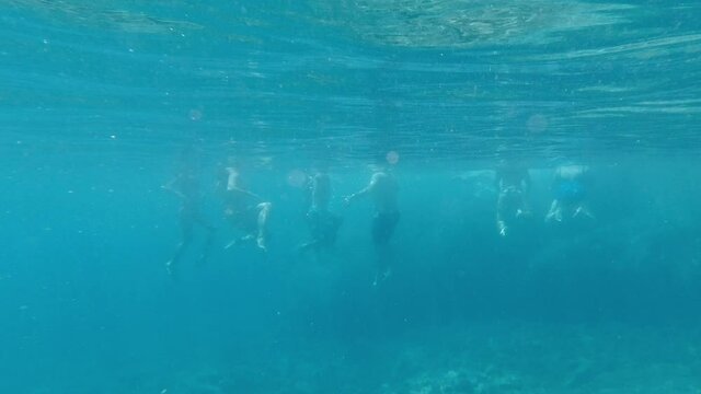 slow motion underwater back view of adult group swimming in ocean
