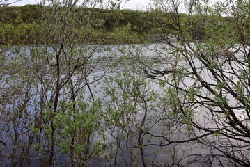 Fototapeta premium of the river North of Russia