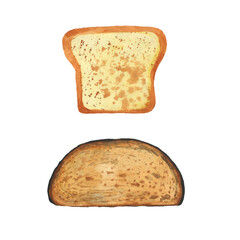 Watercolor set of white and rye toast bread for breakfast. Hand drawn illustration isolated on white background. Food picture for healthy organic design.