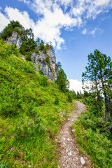 Fototapeta na wymiar a few summer hiking impressions from the famous Hoch-Ybrig region in the Swiss Alps