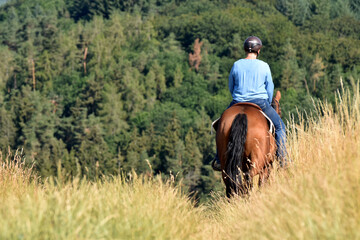 Geländeritt mit American Quarter Horse © lichtreflexe