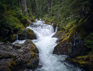 Fototapeta na wymiar Gorgeous Deer Creek cascading and bursting thru the boulders and branches with a natural mountain setting in the Mount Rainier National Park in Washington State