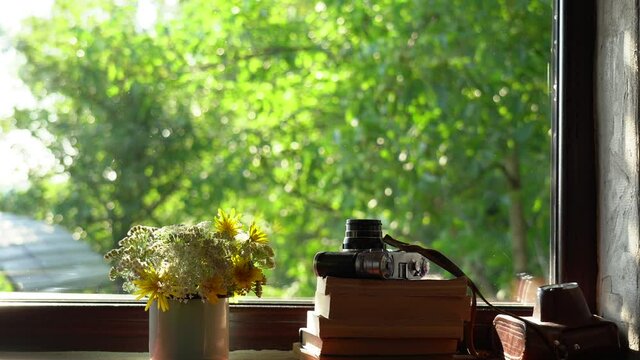 Bouquet of field flowers in metal enamel mug, stack of several old paper books, retro photo camera laying on windowsill of countryside cottage. Defocused green yard in background.