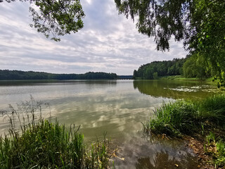 Wonderful lake view in summer. Belarusian Republican Landscape Reserve "Lakes"