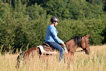 Geländeritt mit American Quarter Horse