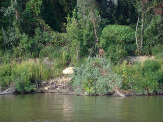 Fishing places on the Danube river