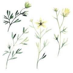 Set of watercolor green leaves, herbs, branches and wild flowers.