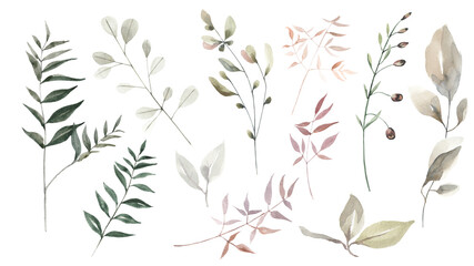 Set of watercolor leaves, herbs, branches.