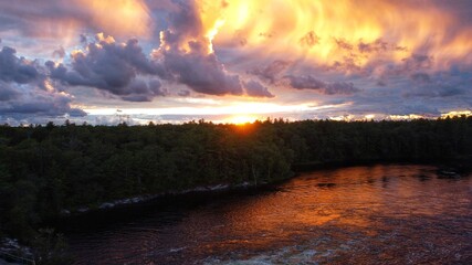 A beautiful sunset over the edge of a forest