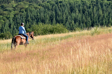Geländeritt mit American Quarter Horse