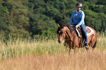 Geländeritt mit American Quarter Horse