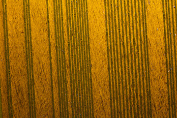 Fototapeta premium macro photo of the flat connector on the computer motherboard