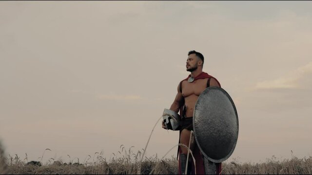 Spartan posing in dry wheat field.