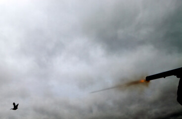 Obraz premium Rough shooting in Denmark