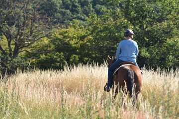 Geländeritt mit American Quarter Horse