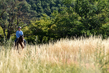 Gel&auml;nderitt mit American Quarter Horse
