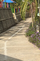 pretty garden street with beautiful plant and flower decoration