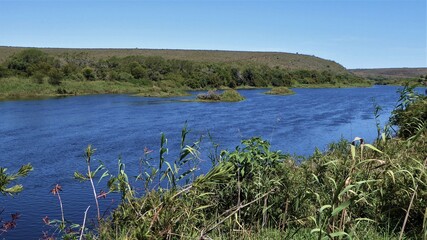 Lush Green Scenery at Bree River, Bontebok NP, South Africa