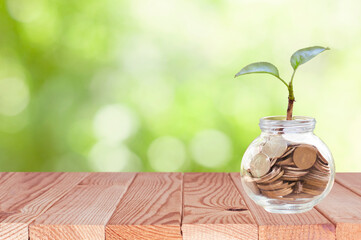 glass bank with the coins and green sprout on the wood table in the nature blurred background