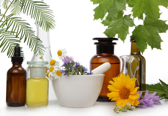 Homeopathy alternative medicine concept. Medical herb health.