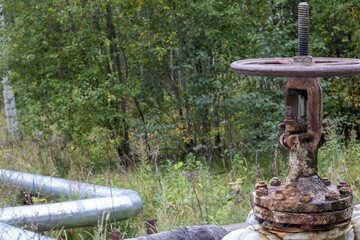 Old rusty valve close up on greenery background.