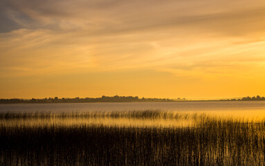 Fototapeta premium Summer lake at dawn, nature background.