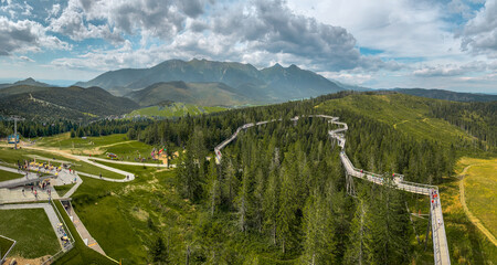 Bachledova dolina, valley, Chodnika korunami stromov, Belianske Tatry, Slovakia © Robert