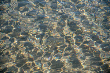Fototapeta na wymiar Full frame clear sea water with floating fish .