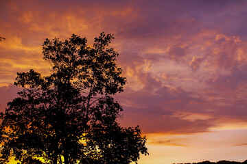Tree silhouette against a dramatic cloudy sky at sunset